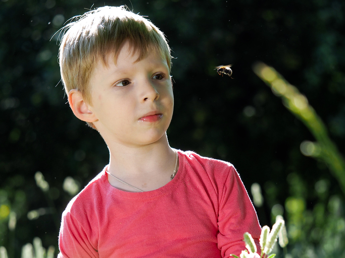 Helping Children with Phobias: Fear of Bees