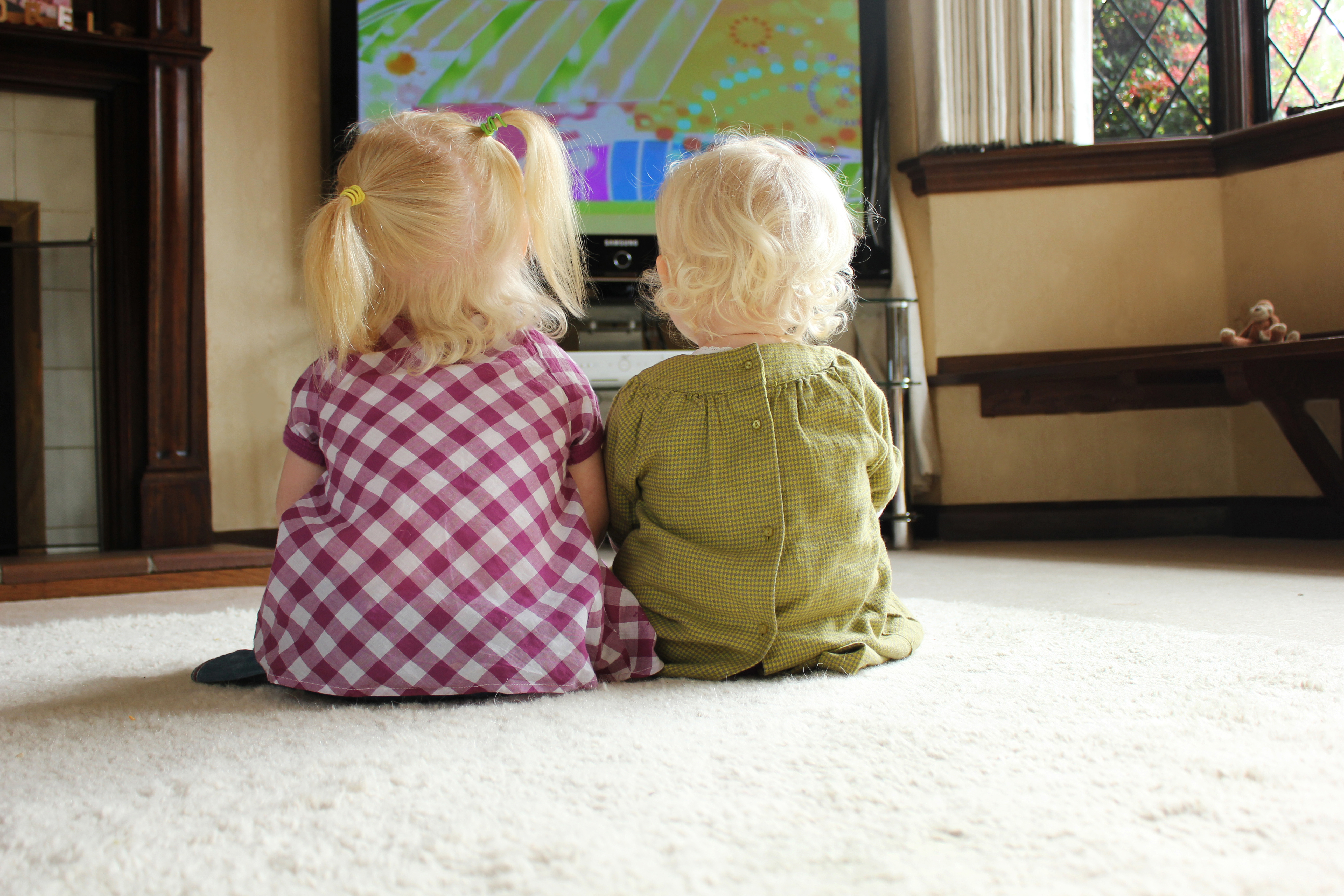 Your Toddler or Preschooler and TV